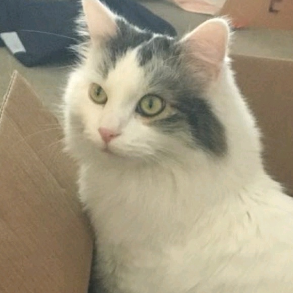 Meet your Posher, Brendan - Picture 1 of 1